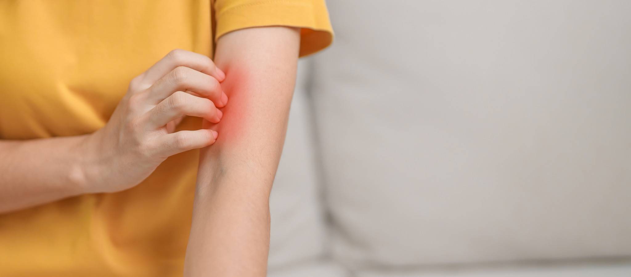 shutterstock_2511825977